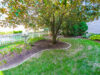 1134-summer-hill-circle-81e