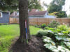 188-montrose-way-64e